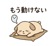 847625095