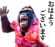 847625669