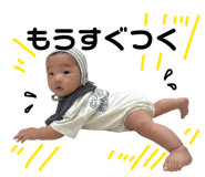 847625846