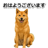 847630553
