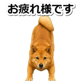 847630554