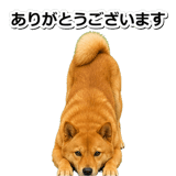 847630555