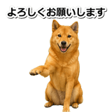 847630556