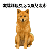847630559
