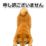 847630560