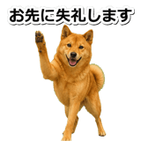 847630561