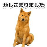 847630562