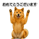 847630563