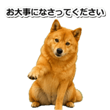 847630564