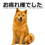 847630565