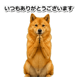 847630566