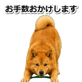 847630567