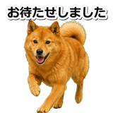 847630569