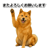847630571