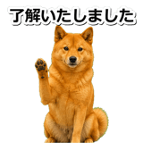 847630573