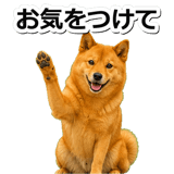847630575