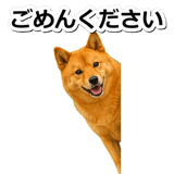 847630576