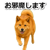 847630577