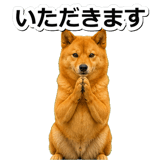 847630578