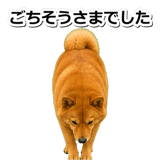 847630579
