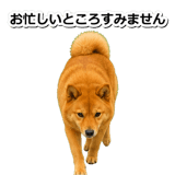 847630580
