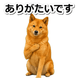 847630581
