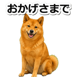 847630582