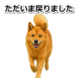 847630584