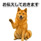 847630585