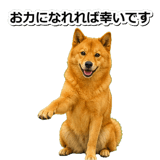847630586