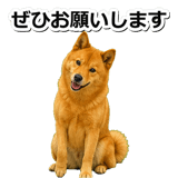 847630587