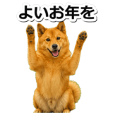 847630589