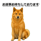 847630591