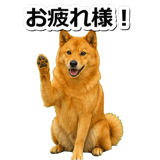 847630592