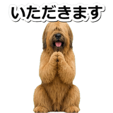847630618