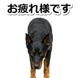 847630914