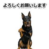 847630916