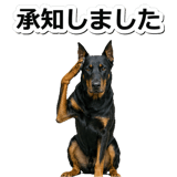 847630917