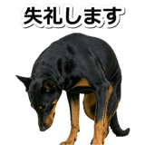 847630918