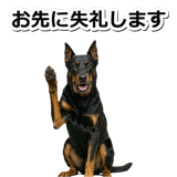 847630921