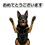 847630923