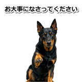 847630924