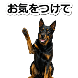 847630935