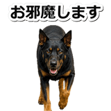 847630937