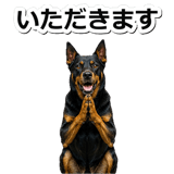 847630938