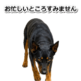 847630940