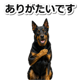 847630941