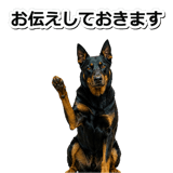 847630945