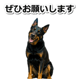 847630947