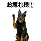 847630952